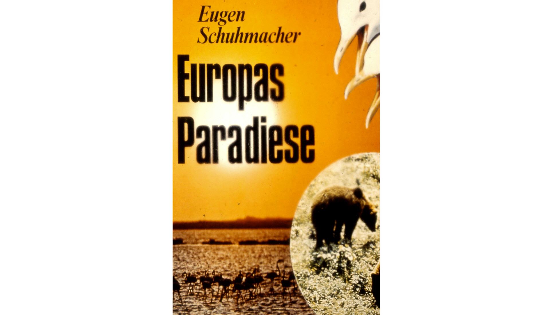 ABENDFÜLLENDER DOKUMENTARFILM VON 1973